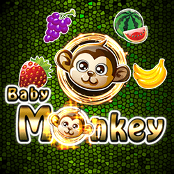 Baby Monkey (AE)