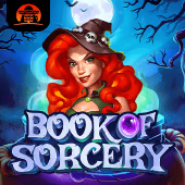 Book of Sorcery (AMG)