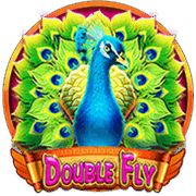 Double Fly (CQ9)