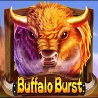Buffalo Burst (DRS)