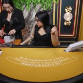 Blackjack VIP 19 (EVO)