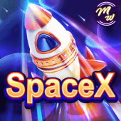 SpaceX (MW)