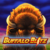 Buffalo Blitz (PT)