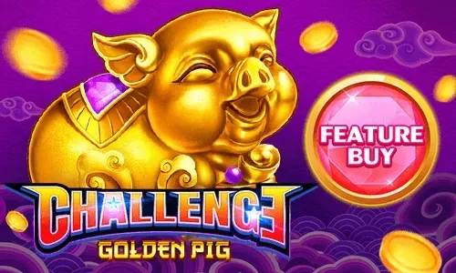 FEATURE BUY・Golden Pig (PS)