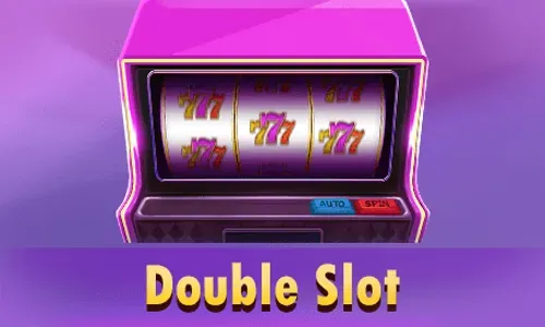 Double slot (R88)