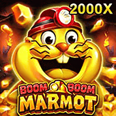 Boom Boom Marmot (YB)